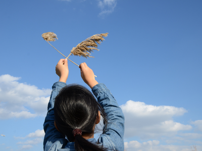 空を見上げている写真